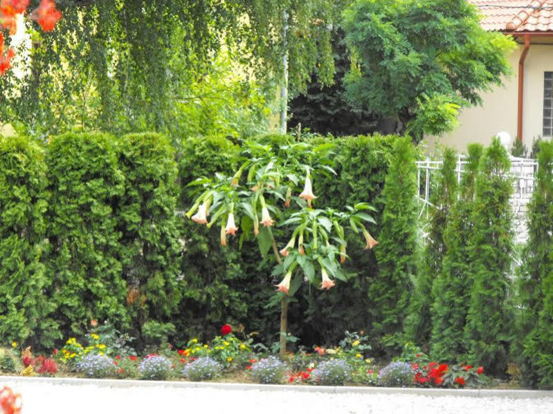 Andrea Villa Heviz I Balaton Exterior photo